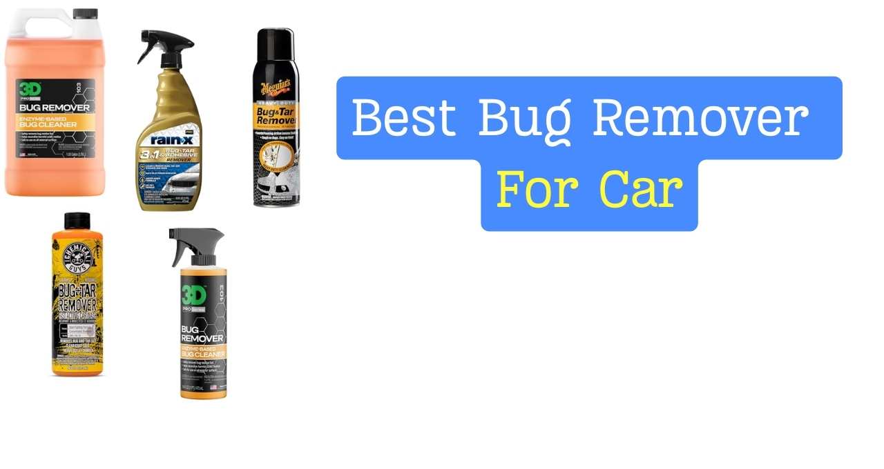 Best Bug Remover For Car